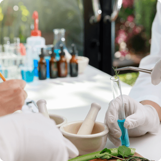 Hands Creating In a Kitchen Lab