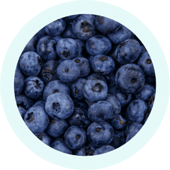 Organic Blueberry