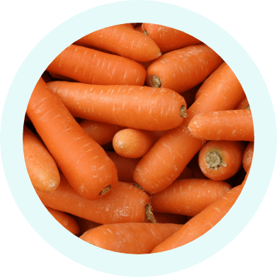 Organic Carrot