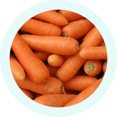 Organic Carrot