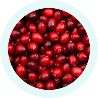 Organic Cranberries