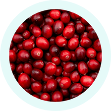 Organic Cranberry