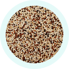 Organic Quinoa Seed