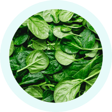 Organic Spinach