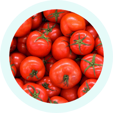 Organic Tomato