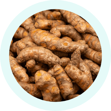 Organic Turmeric