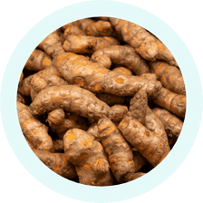 Organic Turmeric