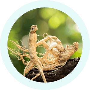 BOOSTme | Adaptogen Blends for Feeling Awesome